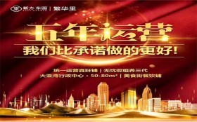 新力開發(fā)商怎么樣,襮新力繁華里